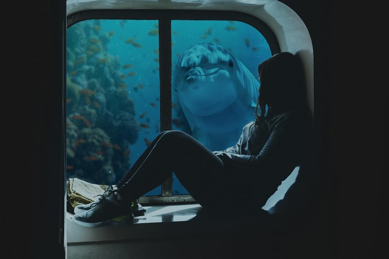 Diving with dolphins